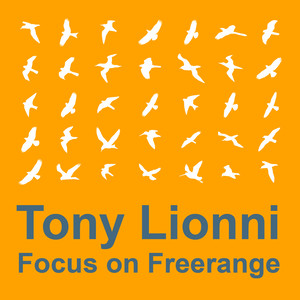 Focus On : Freerange  Tony Lionni