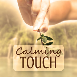 Calming Touch - Massage Therapy, Pure Massage Music, Spa Music, Cure Your Illness, Healing Hands