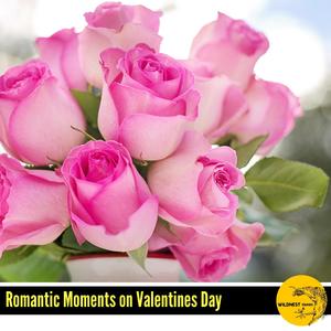 Beauty Love Tunes on Piano(E Minor)