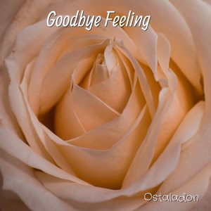 Goodbye Feeling