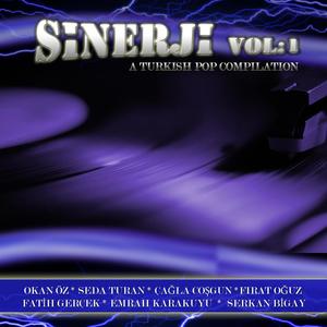 Sinerji Vol:1