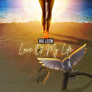 Love of my Life (feat. Somsoem)