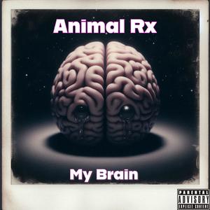 My Brain (Explicit)