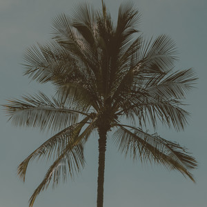 Everybody Loves the Sushine (Remix)