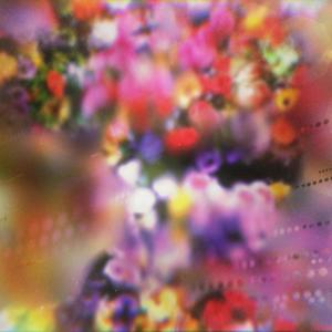 Garden (Violin Rework)