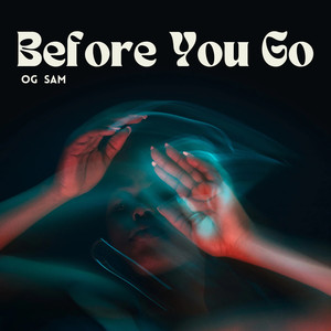 Before You Go