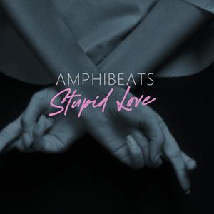 Stupid Love (Explicit)