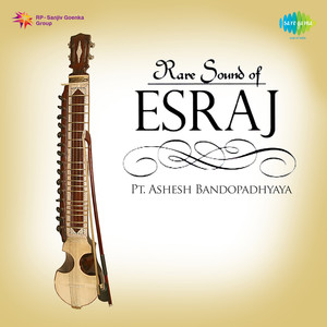 Rare Sound Of Esraj