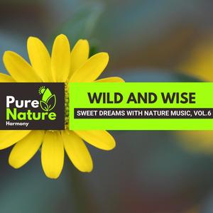 Wild and Wise - Sweet Dreams with Nature Music, Vol.6