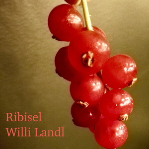 Ribisel