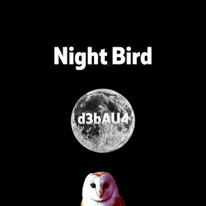 Night Bird