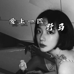 爱上一匹野马