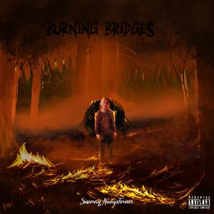 Demon in a dress (Explicit)