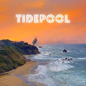 Tidepool