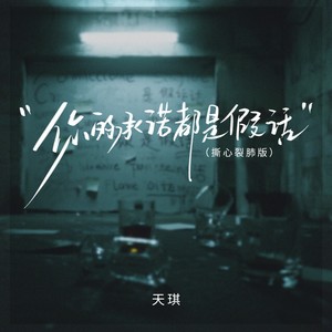 你的承诺都是假话 (撕心裂肺版伴奏)