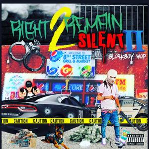 Right To Remain Silent 2 (Explicit)