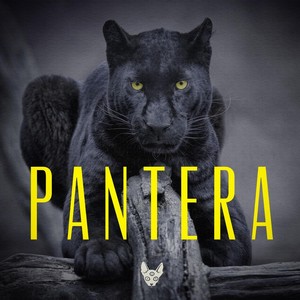 Pantera (Explicit)