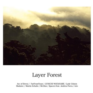 Layer Forest