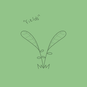 Fields (Remix)
