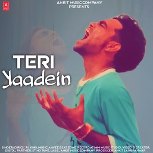 Teri Yaadein