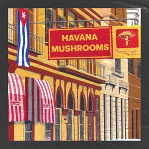 Havana Mushrooms