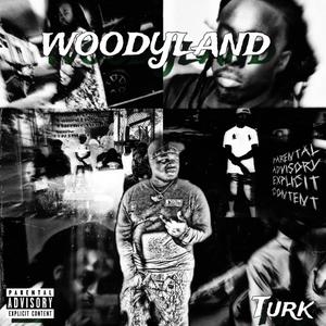 WoodyLand (Explicit)