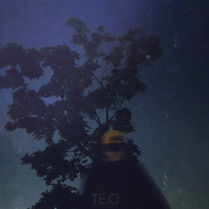 TE.O - Dawn Moon