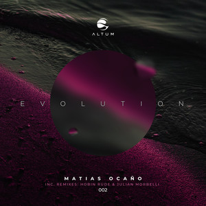 Evolution (Hobin Rude Remix)