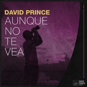 Aunque No Te Vea (Inst.)
