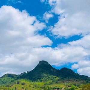 You Broke My Heart (feat. Milky Wave)