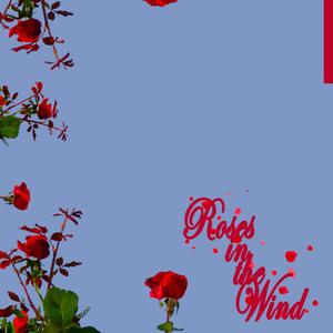 Roses In the Wind