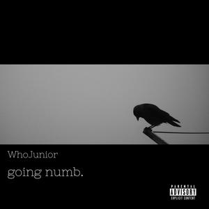 going numb. (Explicit)