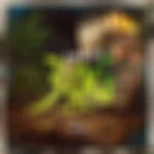 Mais de 30G na Bag (Explicit)