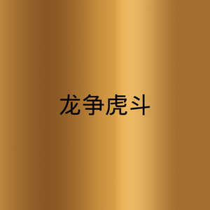 隆重登场 (DJ版)