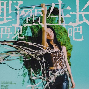 再见野蛮生长吧-高睿