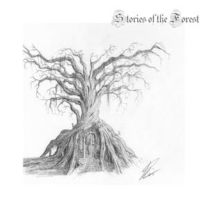 Stories of the Forest (feat. Mandy Vergers)