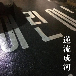 逆流成河 (Remix)