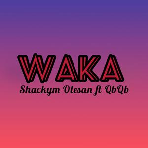 Waka (feat. QbQb) [Explicit]