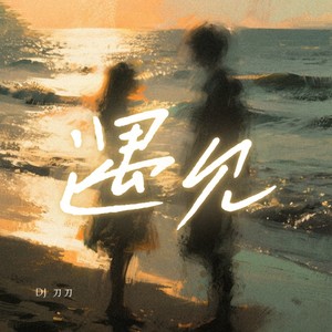 DJ 刀刀 - 遇见 (DJ刀刀版)