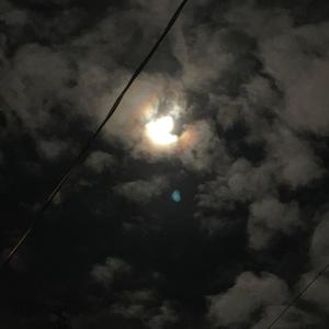 ptsd bootleg128kbps (Explicit)