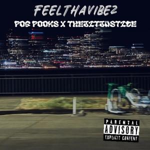 Feel tha Vibez (feat. POG POOKS) (Explicit)