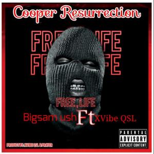 Free Life (feat. Bigsam Ush & XVibe QSL) [Explicit]