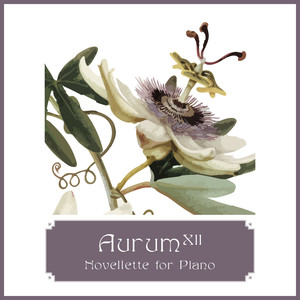 Aurum XII – Novellette for Piano