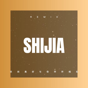 世间美好与你环环相扣 (Remix)