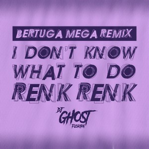 I Don't Know What To Do Renk Renk (Mega Funk Remix|Explicit)