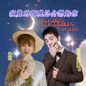 寂寞的夜晚总会想起你