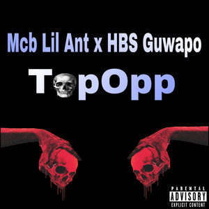 TopOpps