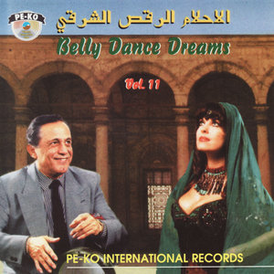 Belly Dance Dreams