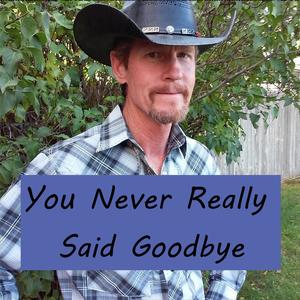 You Never Really Said Goodbye