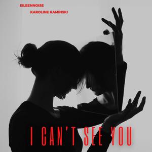 I can't see you (feat. Karoline Kaminski) [Explicit]